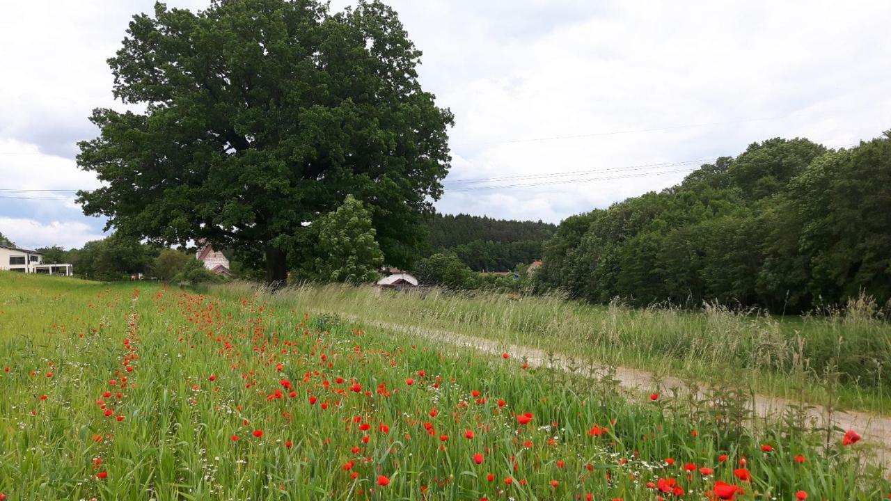 Spieglhof Apart Kumhausen Esterno foto
